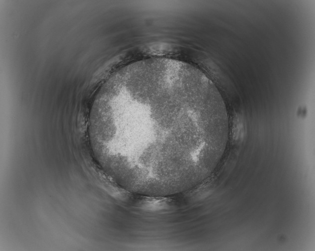 X0000110710569200907101247