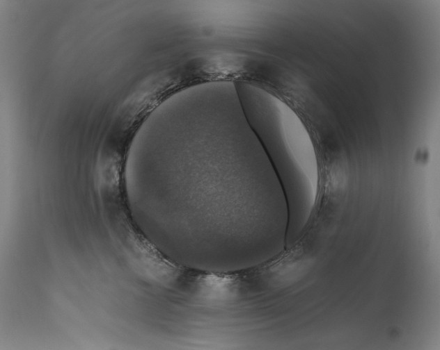 X0000110710570200907101247