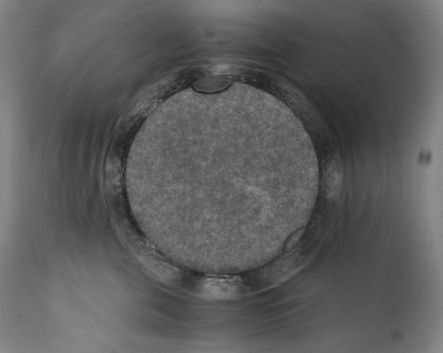 X0000110710571200907101247