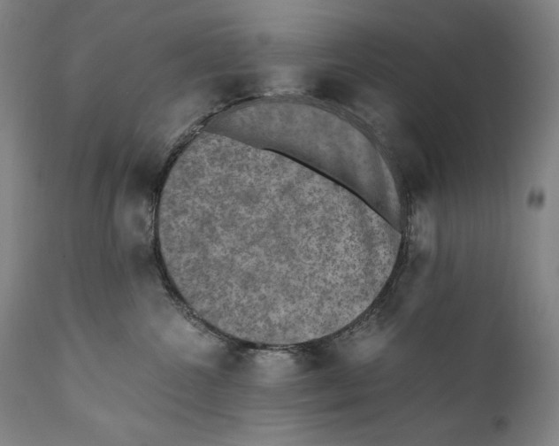 X0000110710572200907101247