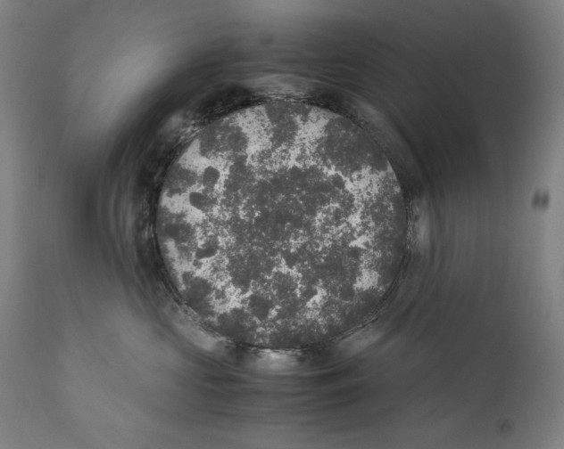 X0000110710573200907101247