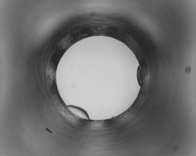X0000110710574200907101247