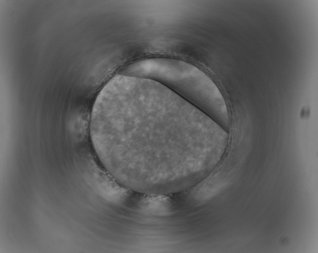 X0000110710576200907101247
