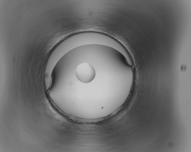 X0000110710577200907101246