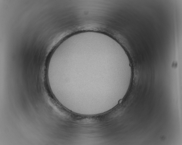 X0000110710578200907101246