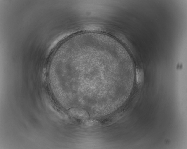 X0000110710579200907101246