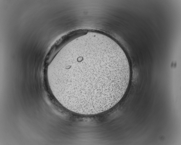 X0000110710580200907101246