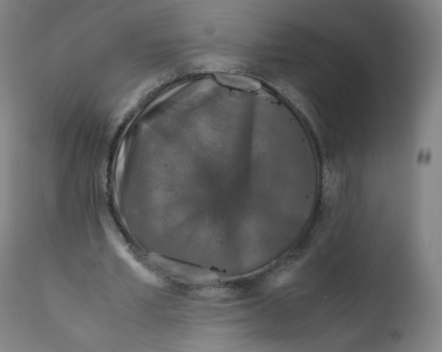 X0000110710581200907101246