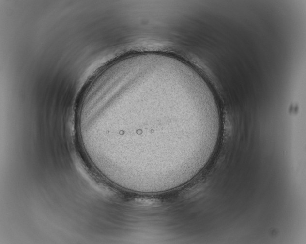 X0000110710582200907101246