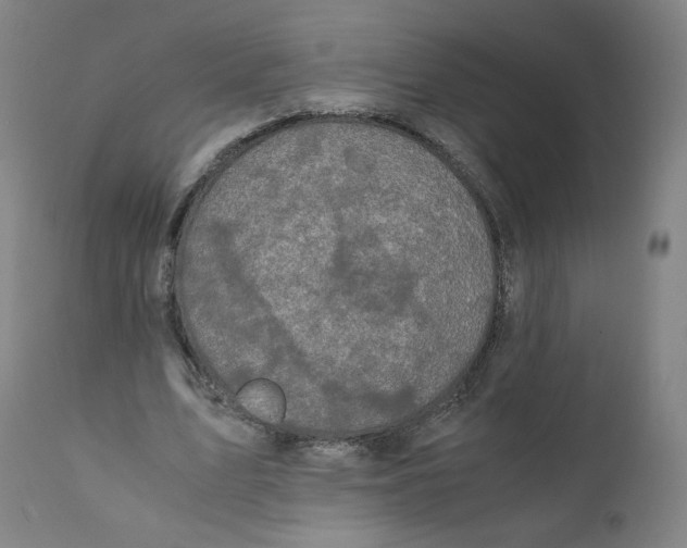 X0000110710583200907101246