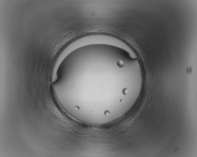 X0000110710585200907101246