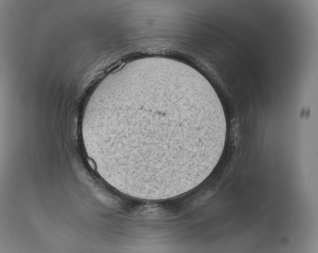 X0000110710589200907101246
