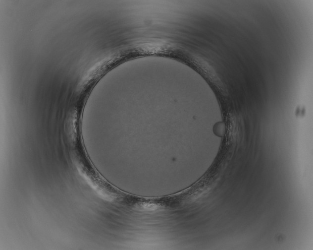 X0000110710590200907101246