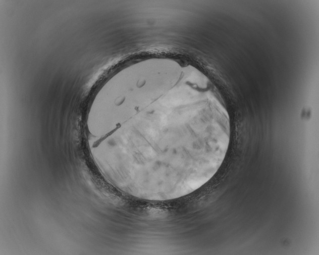 X0000110710592200907101246