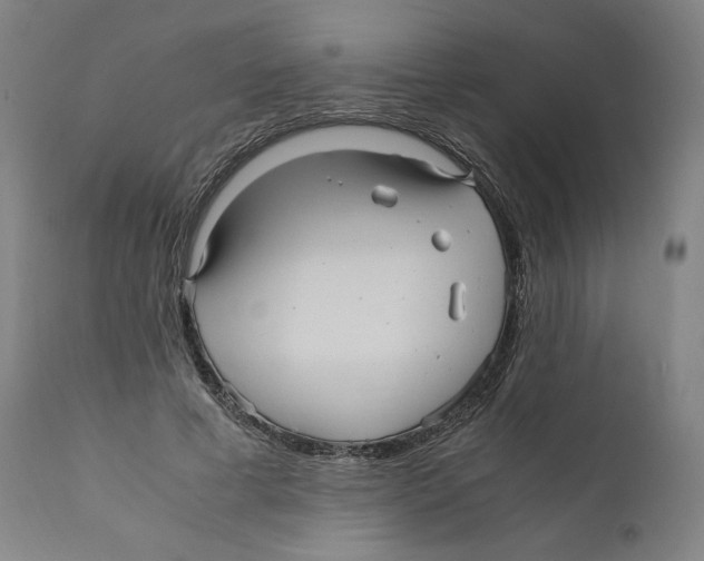 X0000110710593200907101246