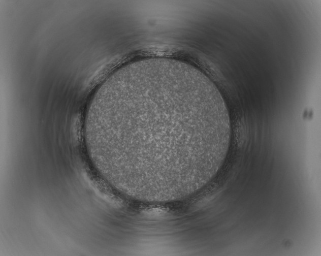 X0000110710594200907101246
