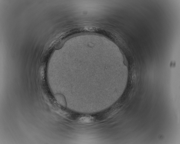 X0000110710595200907101246
