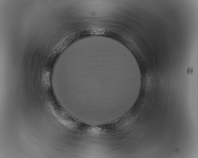 X0000110710598200907101246