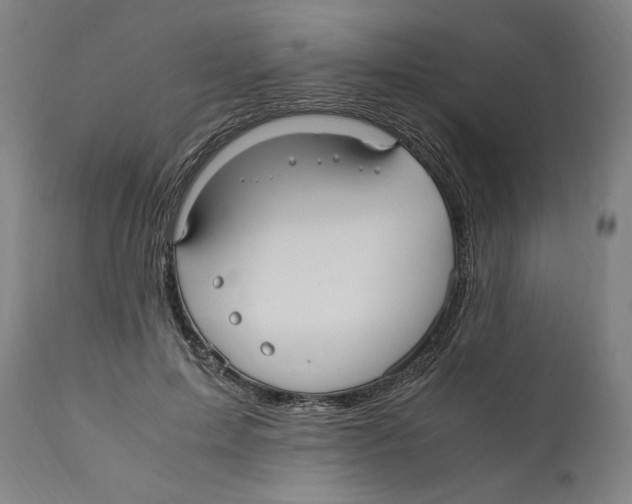 X0000110710599200907101246