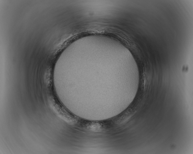 X0000110710600200907101246