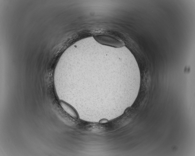 X0000110710601200907101246