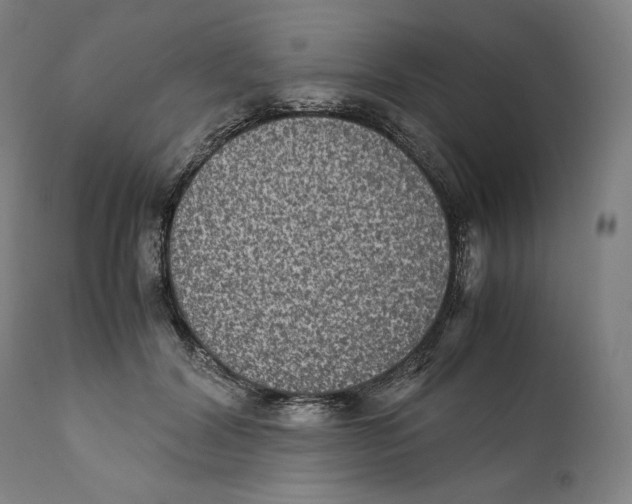X0000110710604200907101246