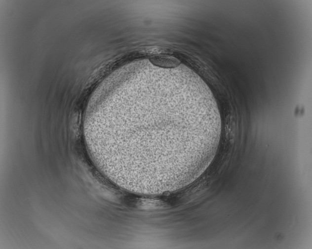 X0000110710605200907101246