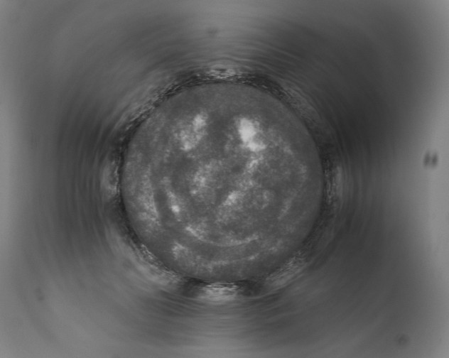 X0000110710606200907101246