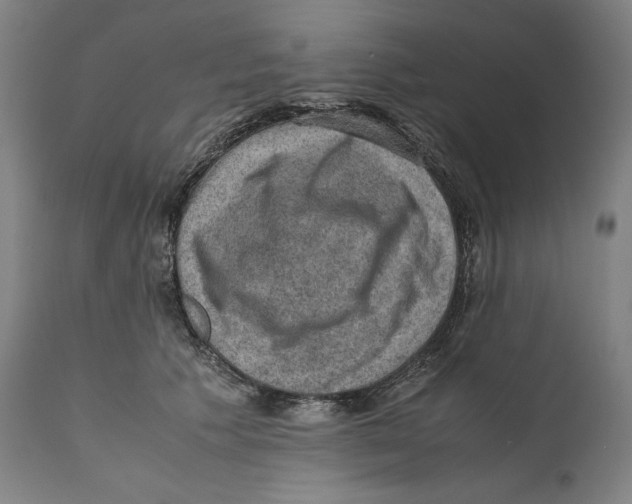 X0000110710609200907101245