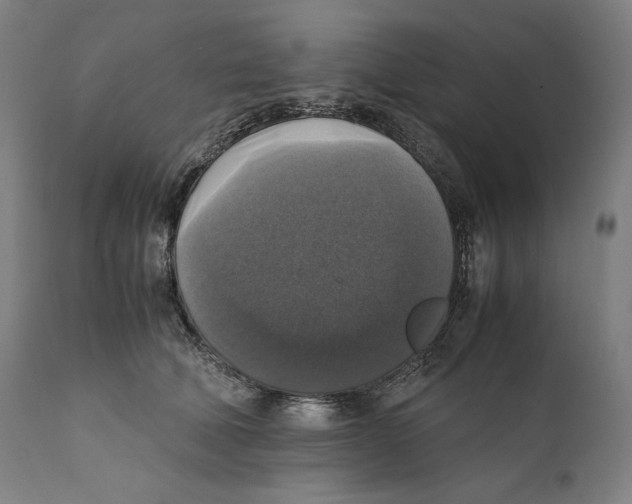 X0000110710610200907101245