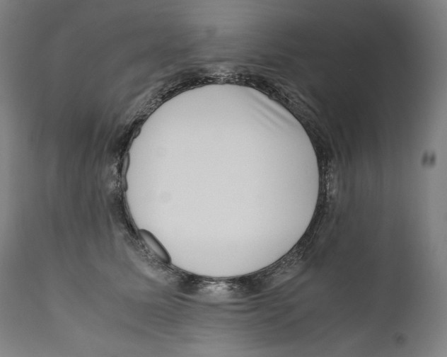 X0000110710611200907101245