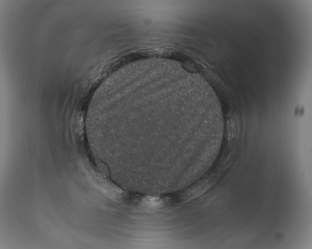 X0000110710613200907101245