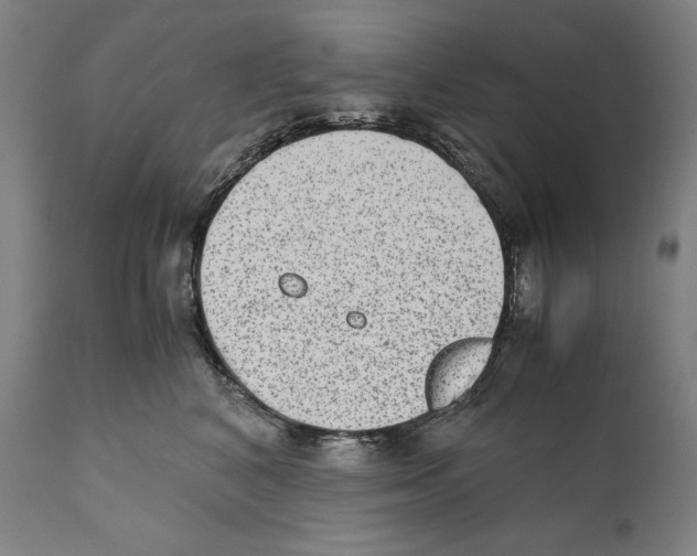 X0000110710616200907101245