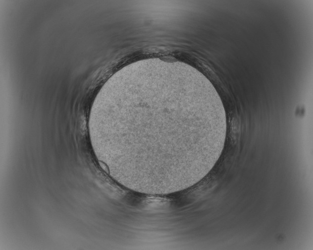 X0000110710617200907101245
