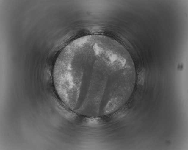 X0000110710618200907101245