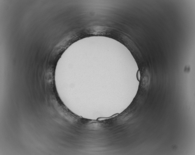 X0000110710620200907101245