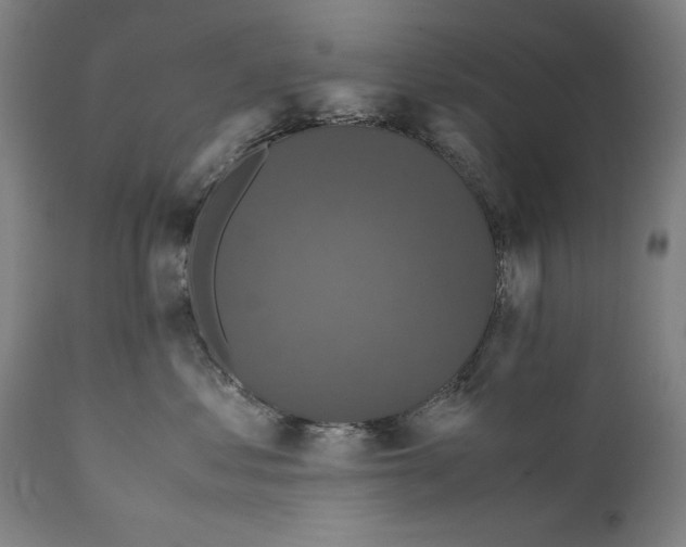 X0000110710621200907101245