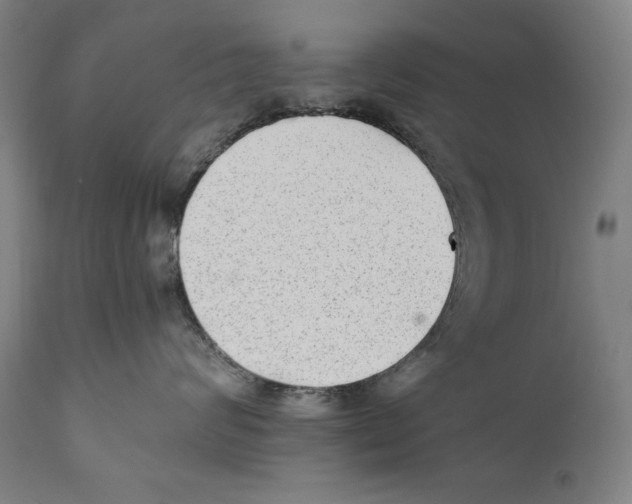 X0000110710624200907101245