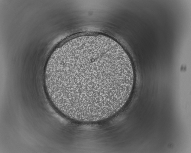 X0000110710625200907101245