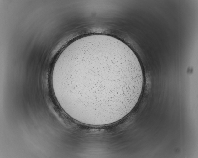 X0000110710626200907101245