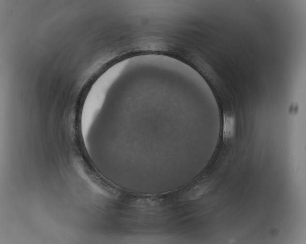 X0000110710627200907101245