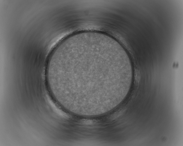 X0000110710629200907101245