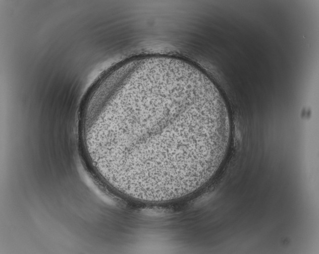 X0000110710630200907101245