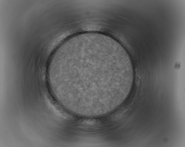 X0000110710631200907101245