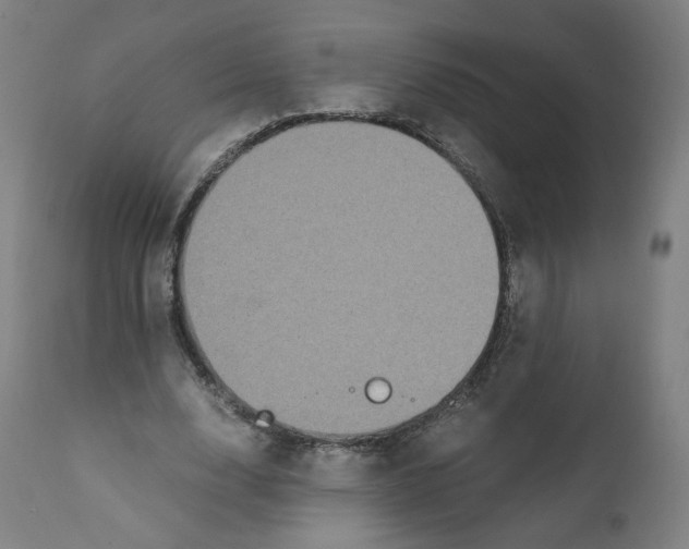 X0000110710632200907101245