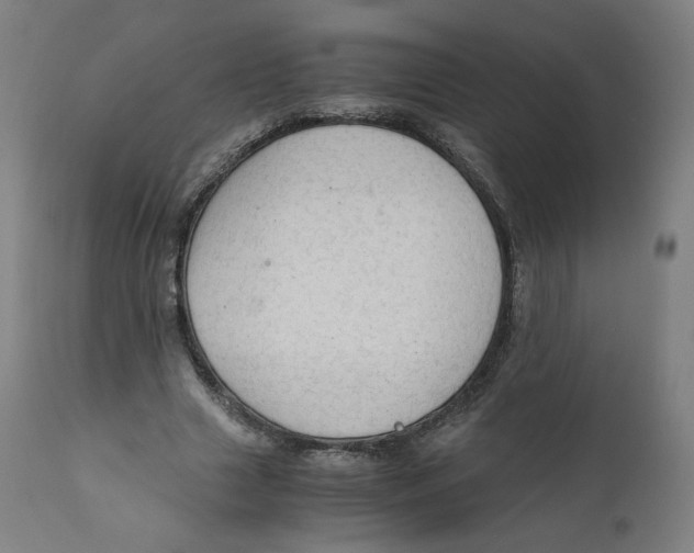 X0000110710633200907101245