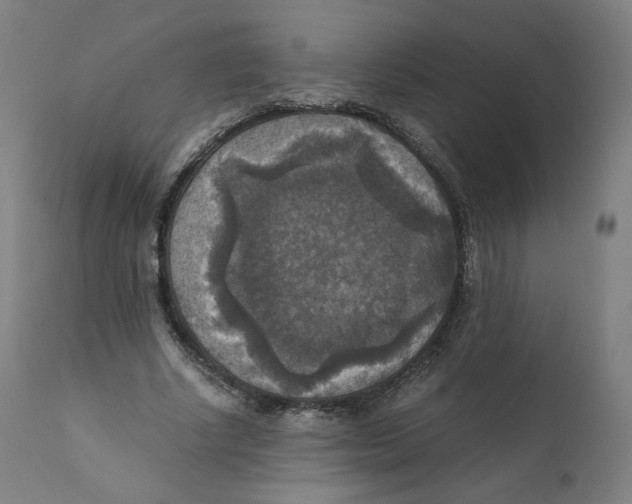 X0000110710634200907101245