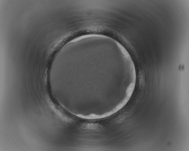 X0000110710637200907101245