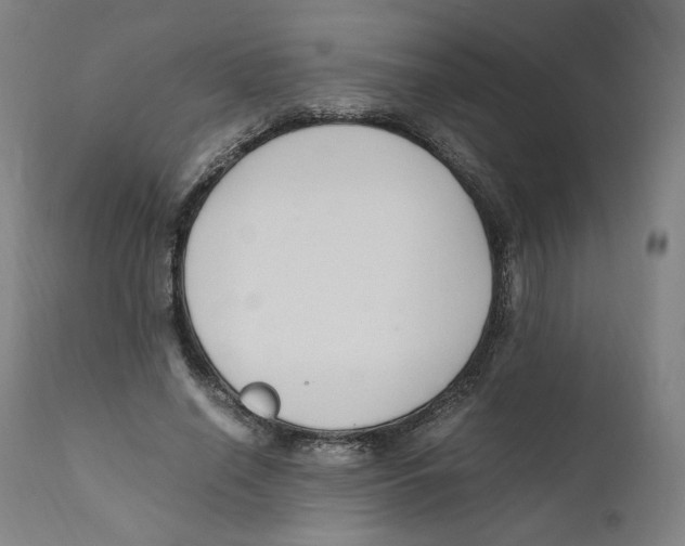 X0000110710638200907101245
