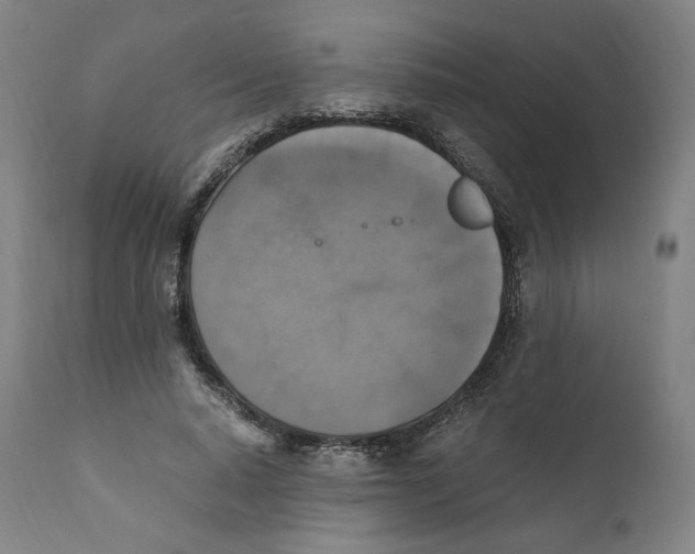 X0000110710640200907101245